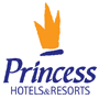 princess-logo